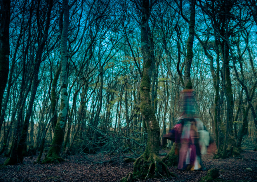 photo d'un personnage flou dans une forêt